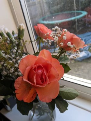 IMG_20190114_132321.jpg