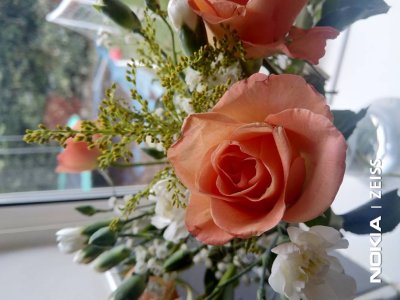 IMG_20190111_142335.jpg