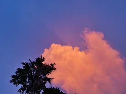 IMG_20190219_182342.jpg
