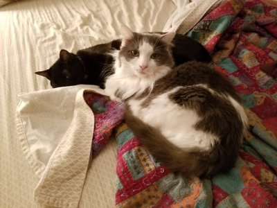 20190109_183429.jpeg