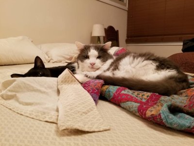 20190109_183033.jpeg