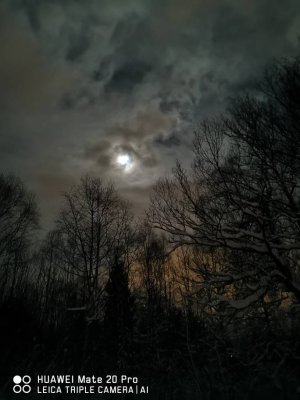 IMG_20190117_180033.jpeg