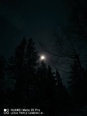 IMG_20190115_182001.jpeg