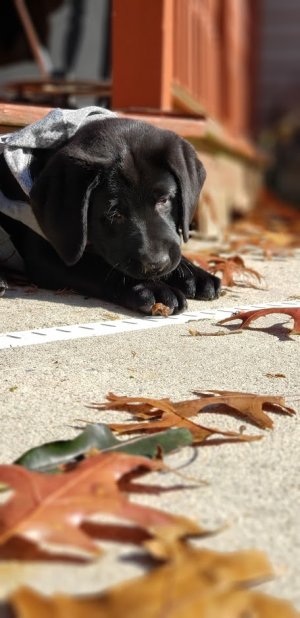 20181110_112129.jpg