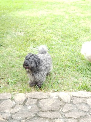 20181110_150723.jpeg