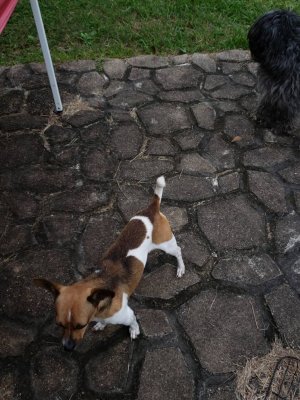 20181110_151515.jpeg