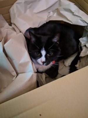 IMG_20190119_161235.jpeg
