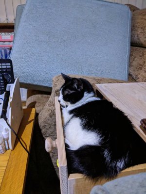 IMG_20190112_063016.jpeg