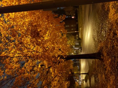 20181031_201757.jpg
