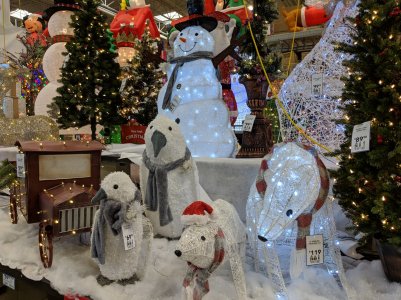 MVIMG_20181111_160303.jpg
