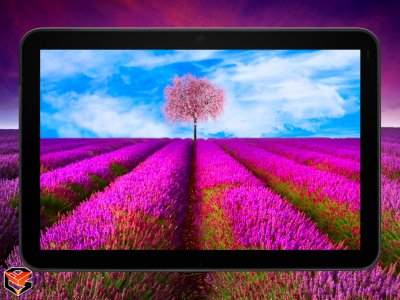 lf_tablet_background_0_5.jpg