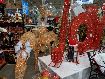 MVIMG_20181111_160209.jpg