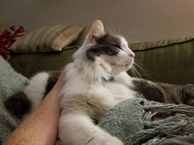 20181111_171726.jpeg
