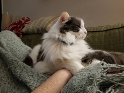 20181111_171642.jpeg