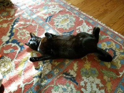 20190118_134751.jpeg