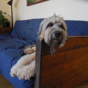 DSCN1641.jpg