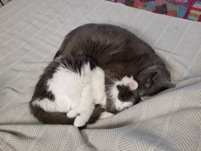 20190121_145734.jpeg