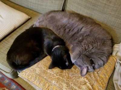 20190122_142404.jpeg