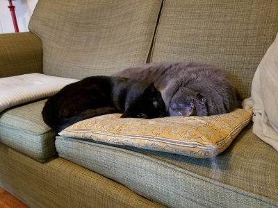 20190122_142338.jpeg