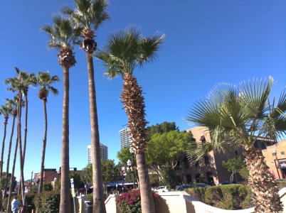 IMG_20190322_085547.jpg