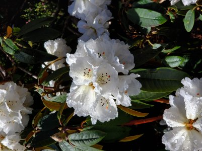 20190321_103337.jpg
