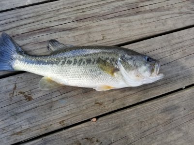 20190321_170555.jpg
