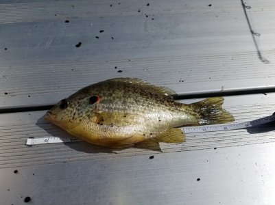 20190323_144758.jpg