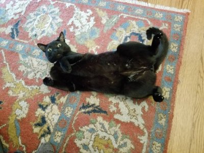 20190226_132317.jpeg