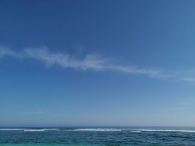 IMG_20190225_154833.jpg