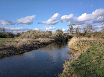 IMG_20190324_163649.jpg