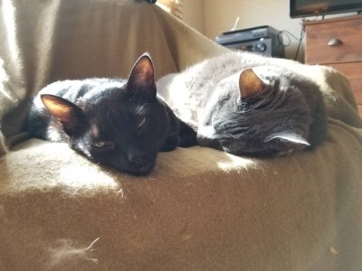20190128_115949.jpeg