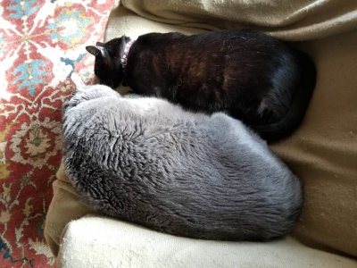 20190128_115900.jpeg