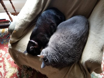 20190128_115845.jpeg