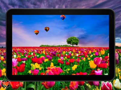 ff_tablet_background_0_1.jpg