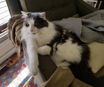 20190228_094343.jpeg
