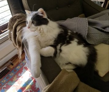 20190228_094315.jpeg