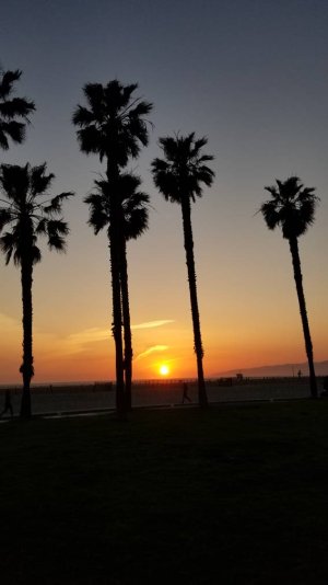 20190325_190313.jpg