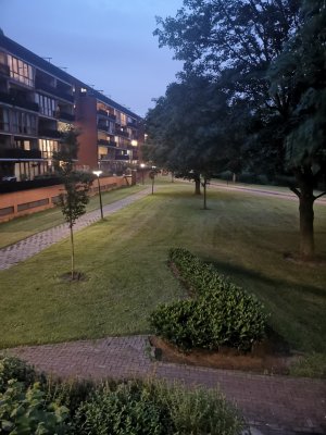 IMG_20190605_222546.jpg