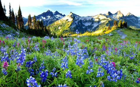 rabstol_net_spring_13.jpg