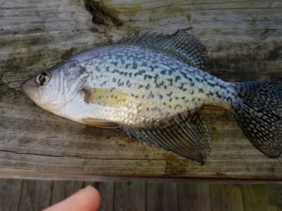 20190225_174529.jpg