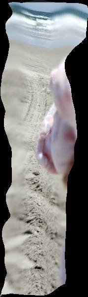 SmartSelect_20190609-002154_Gallery.jpg