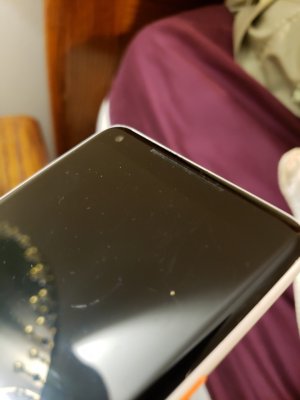 53317877_329414071253650_4672602883911319552_n.jpg