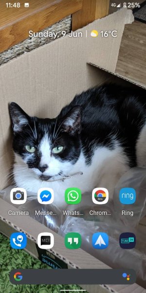 Screenshot_20190609-114829.jpeg