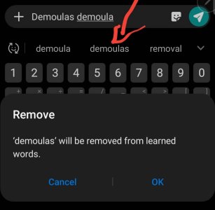 Screenshot_20190328-202712_Messages.jpeg