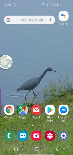 Screenshot_20190611-165817_One UI Home.jpg