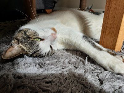 20180824_151007-01.jpg