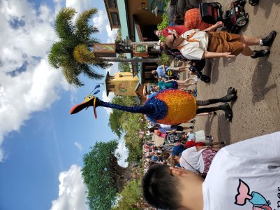 20190329_120408.jpg