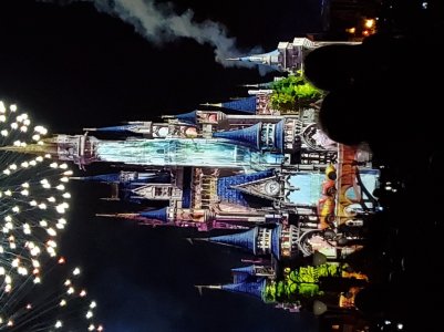 20190329_211958.jpg