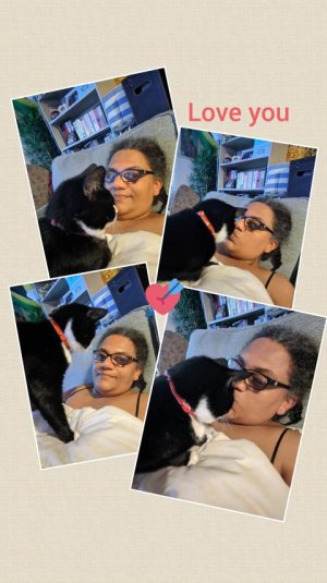 inCollage_20190613_210347220.jpeg