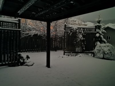 IMG_20190331_030837.jpg